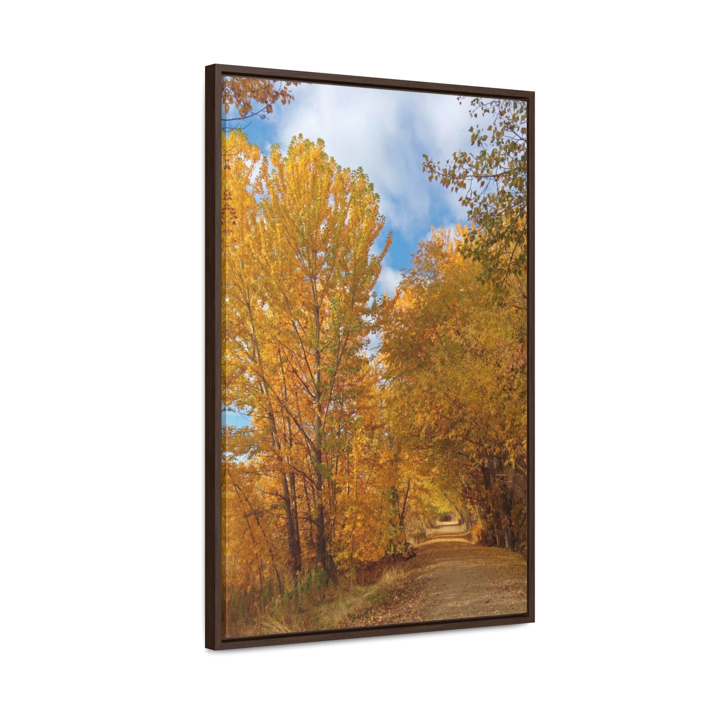 Autumn Trail Gallery Canvas Wraps Framed