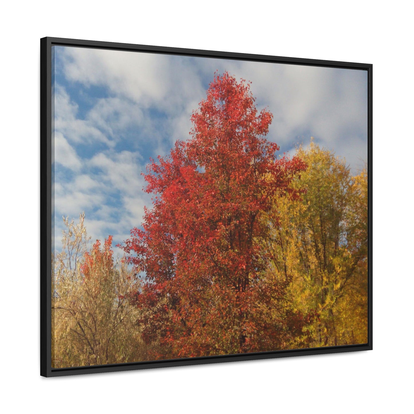 Autumn Sky Gallery Canvas Wraps Framed