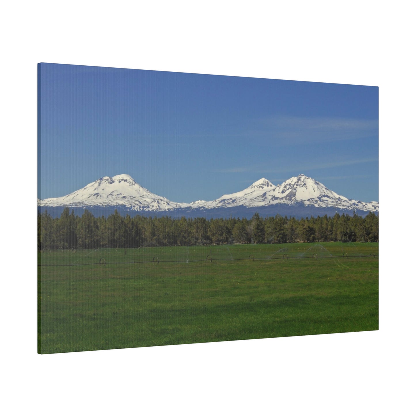 Mountain Field Matte Canvas