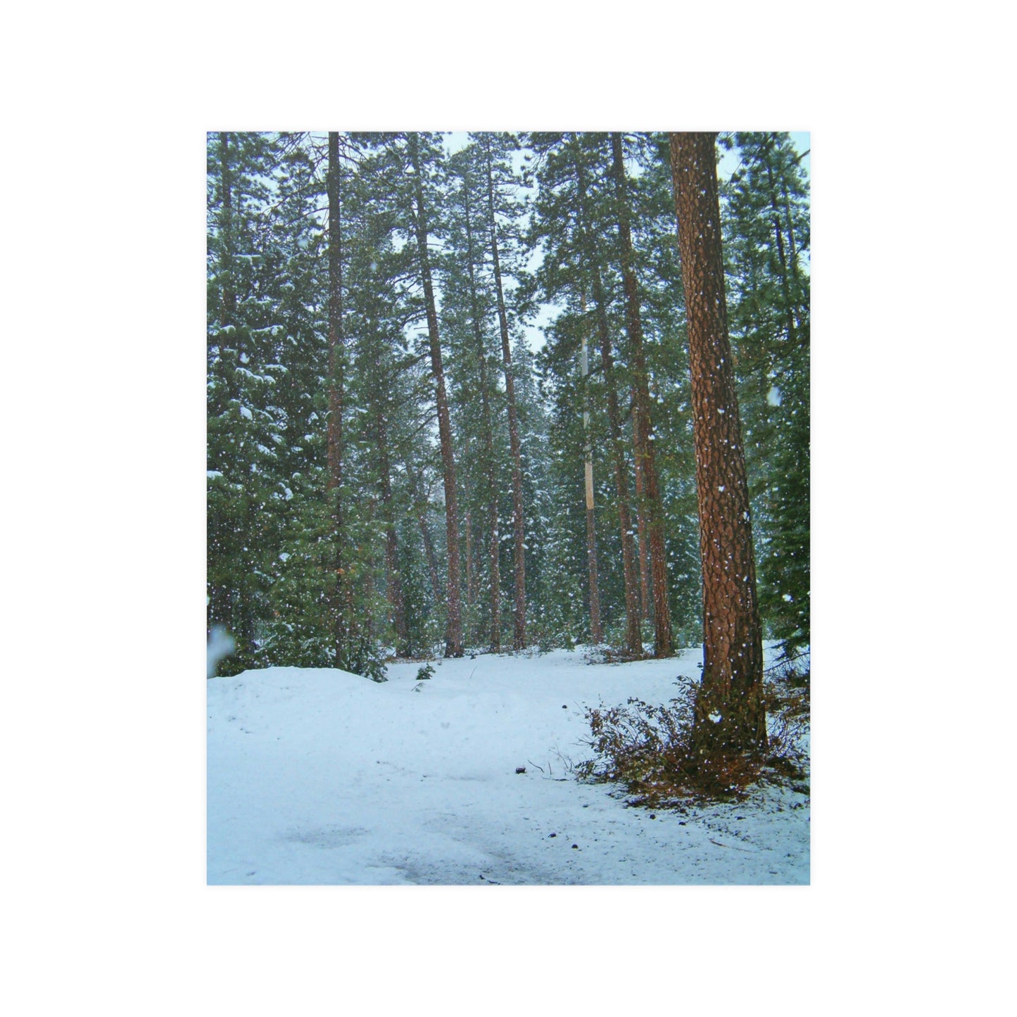 Snowfall Satin Posters
