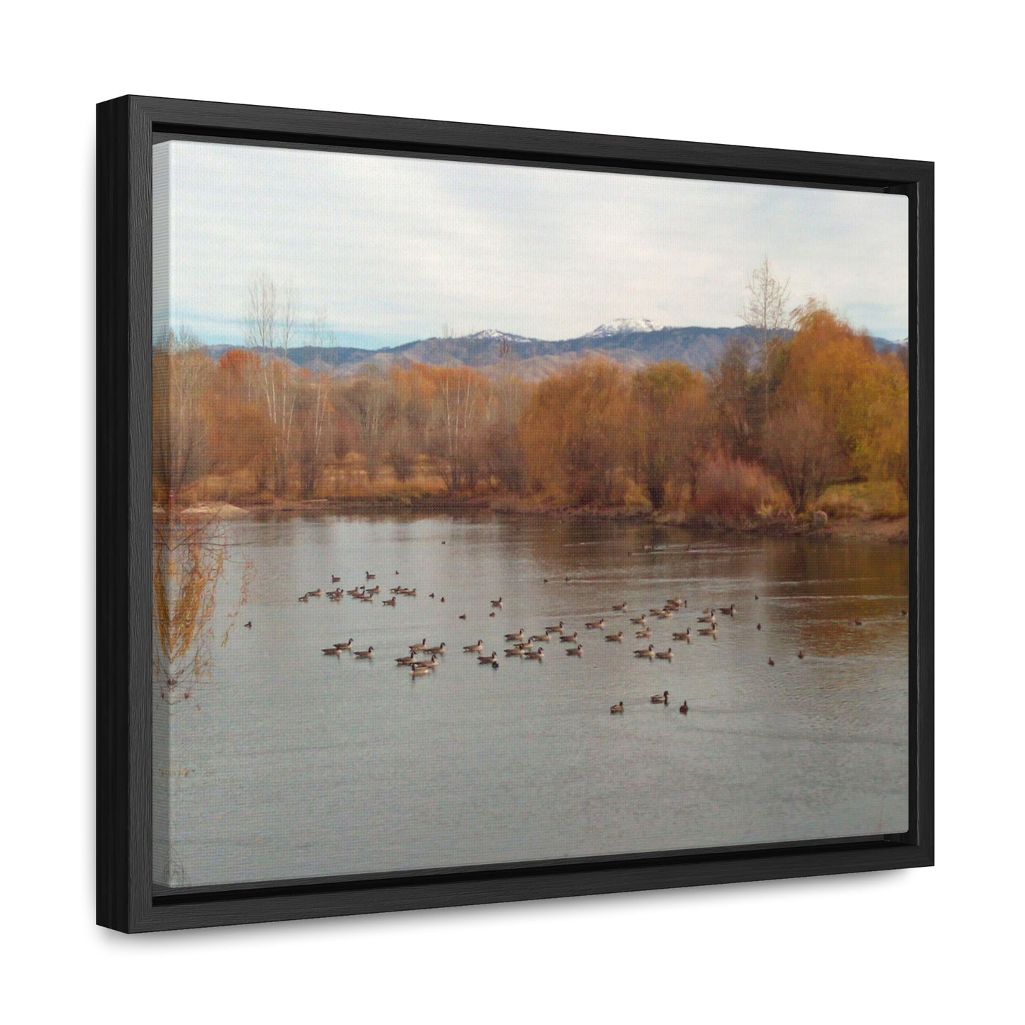 Autumn Pond with Geese Gallery Canvas Wraps Framed
