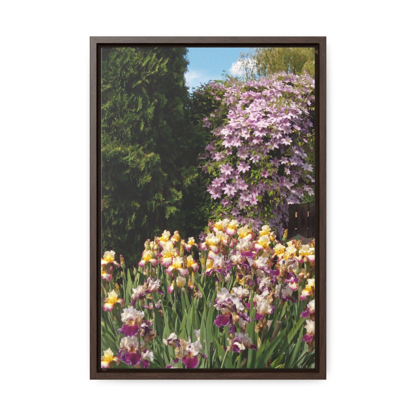 Sunny Iris Garden Gallery Canvas Wraps Framed