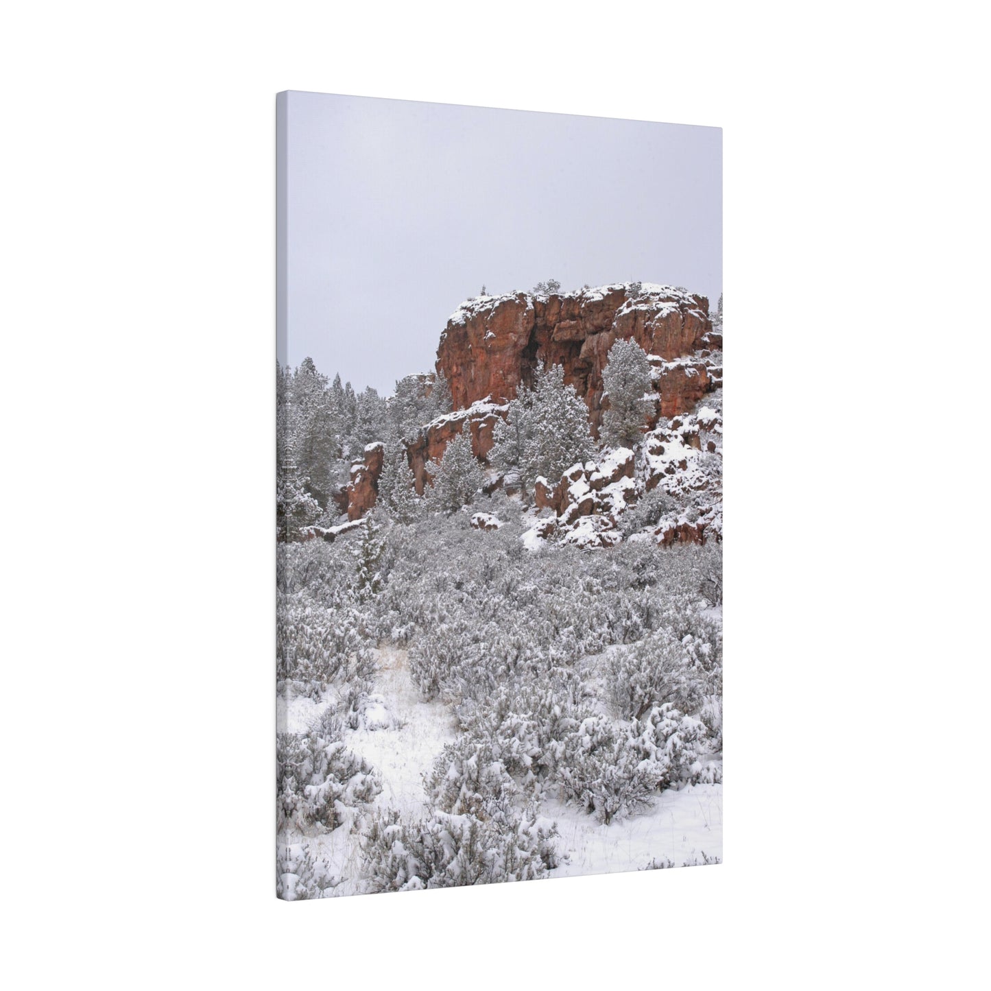 Winter Cliff Matte Canvas