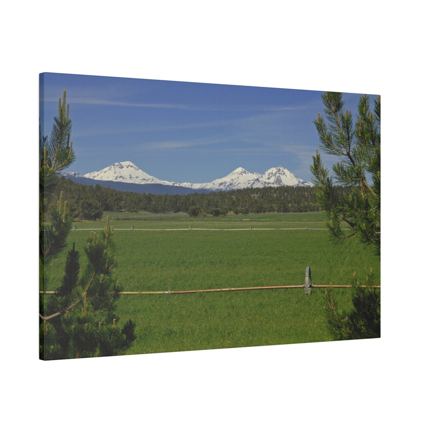 Mountain Pasture Matte Canvas