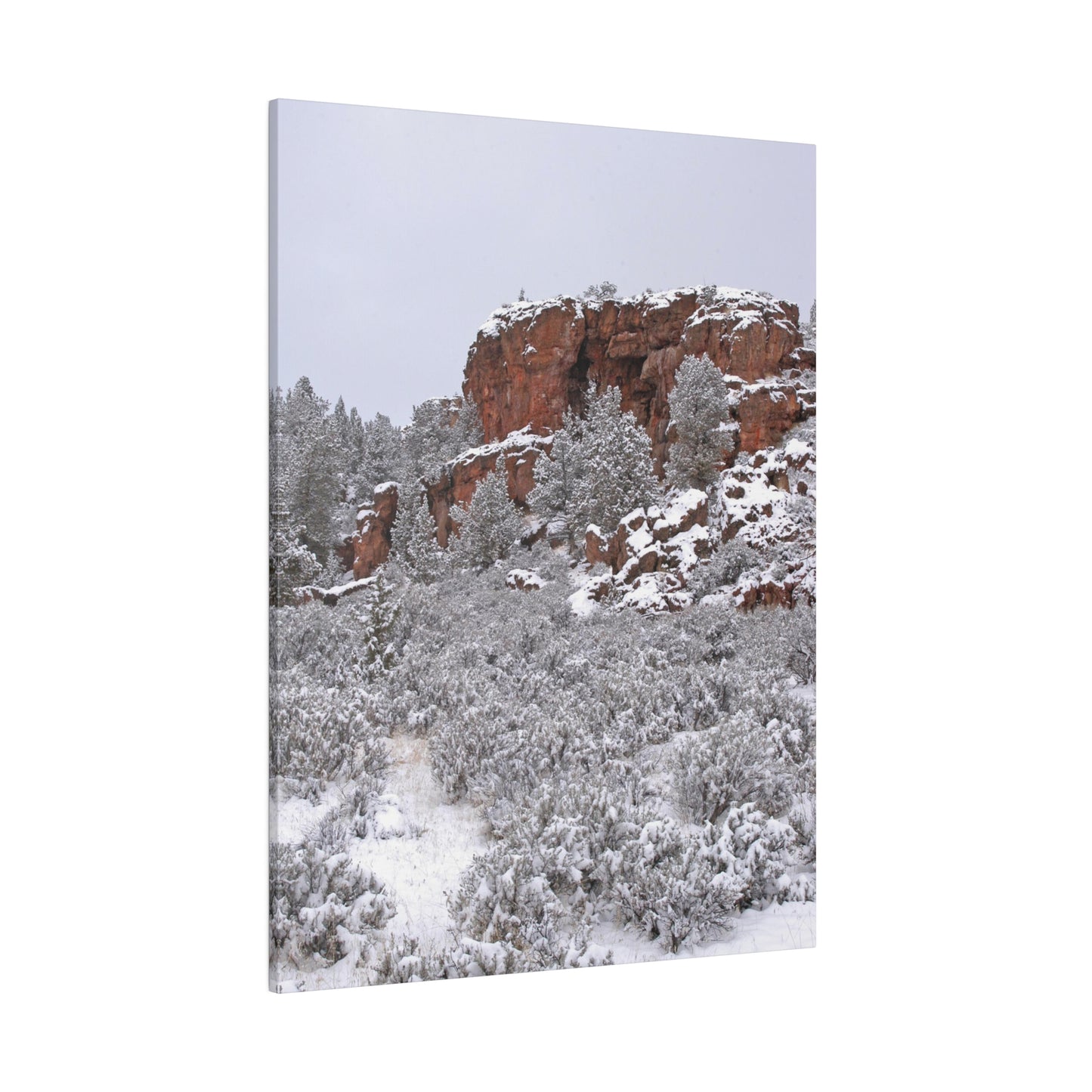 Winter Cliff Matte Canvas