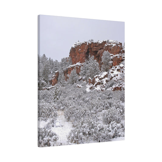 Winter Cliff Matte Canvas