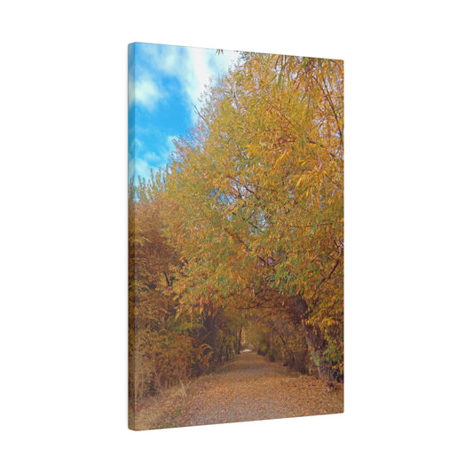 Autumn Path Matte Canvas