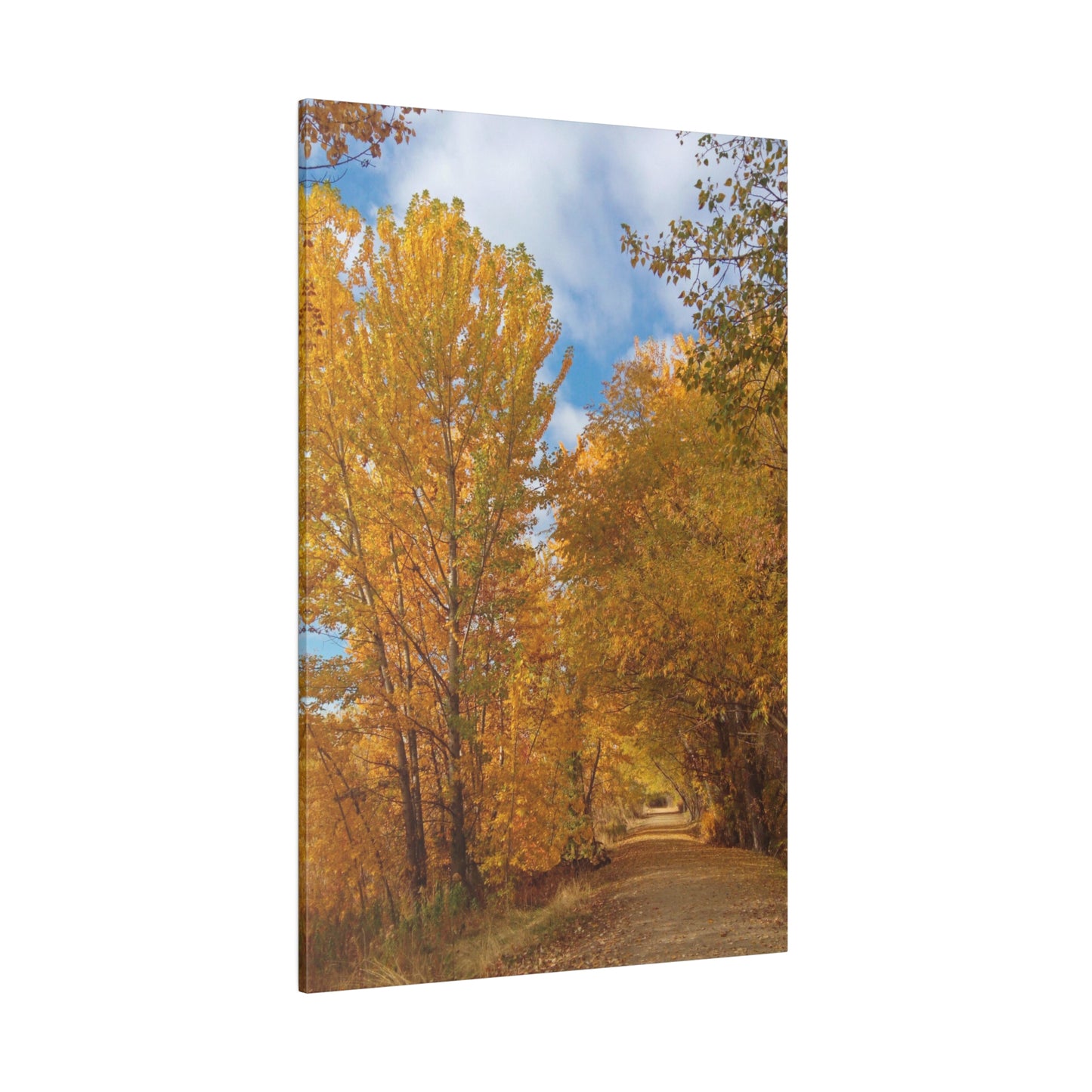 Autumn Trail Matte Canvas