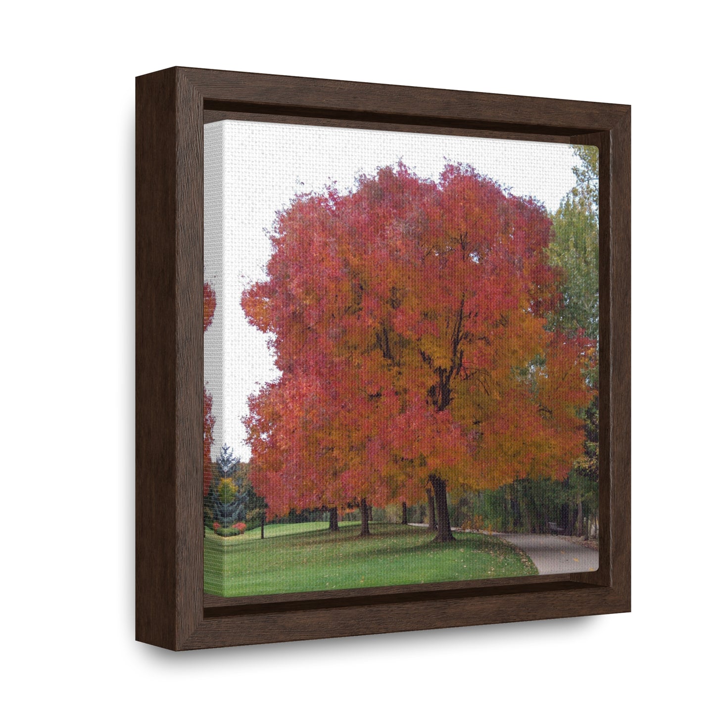 Autumn Tree Mid Fall Gallery Canvas Wrap Square Framed