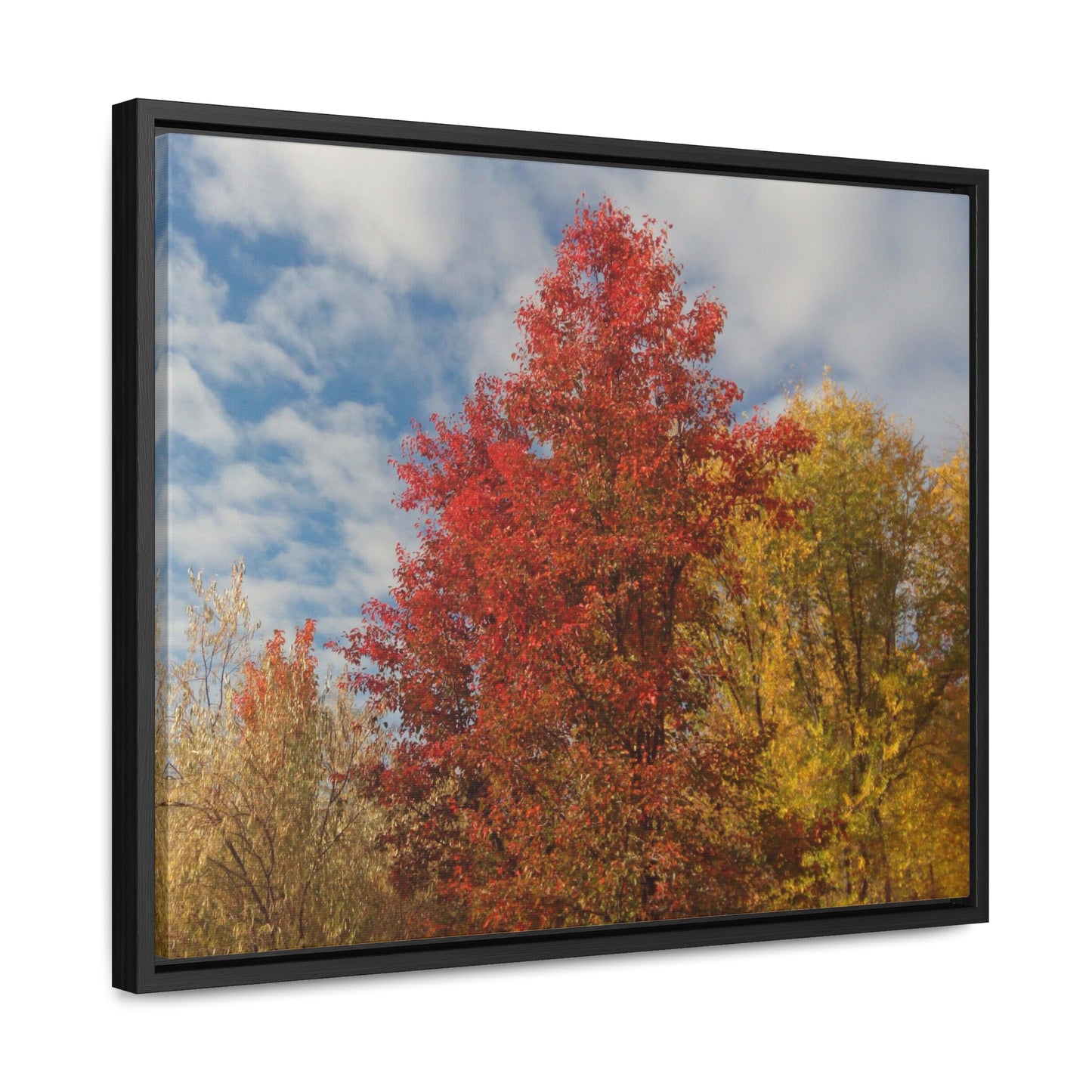 Autumn Sky Gallery Canvas Wraps Framed