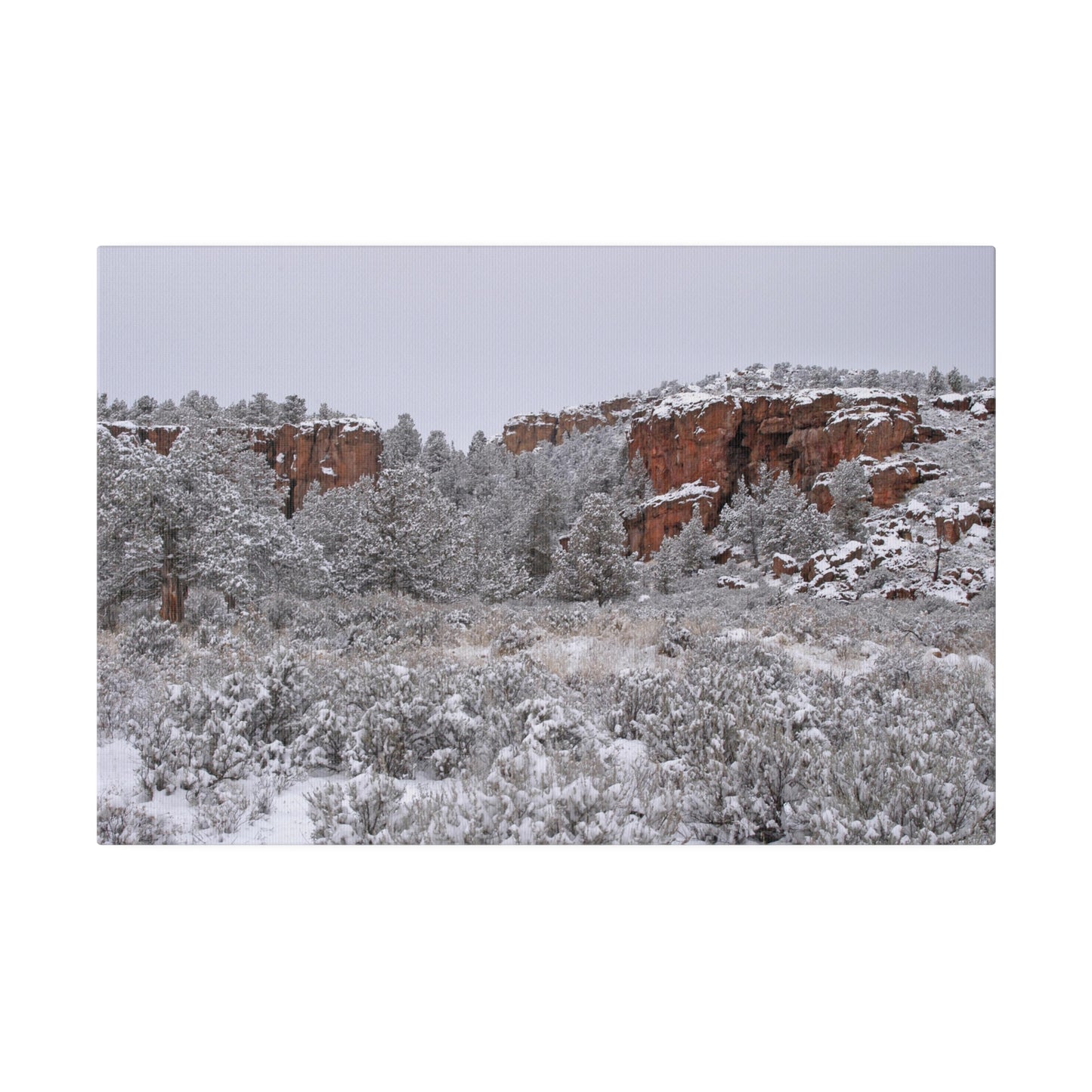 Winter Canyon Matte Canvas