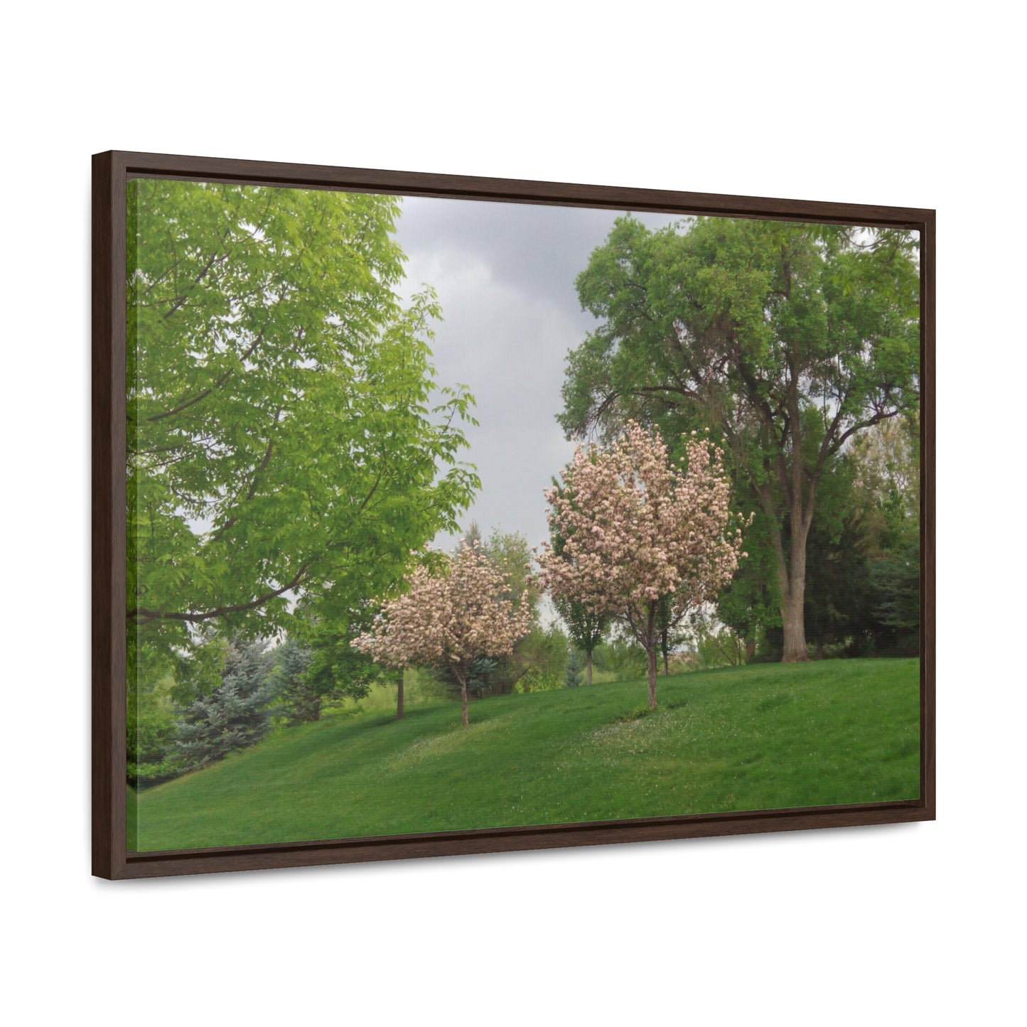 Spring In The Air Gallery Canvas Wraps Framed