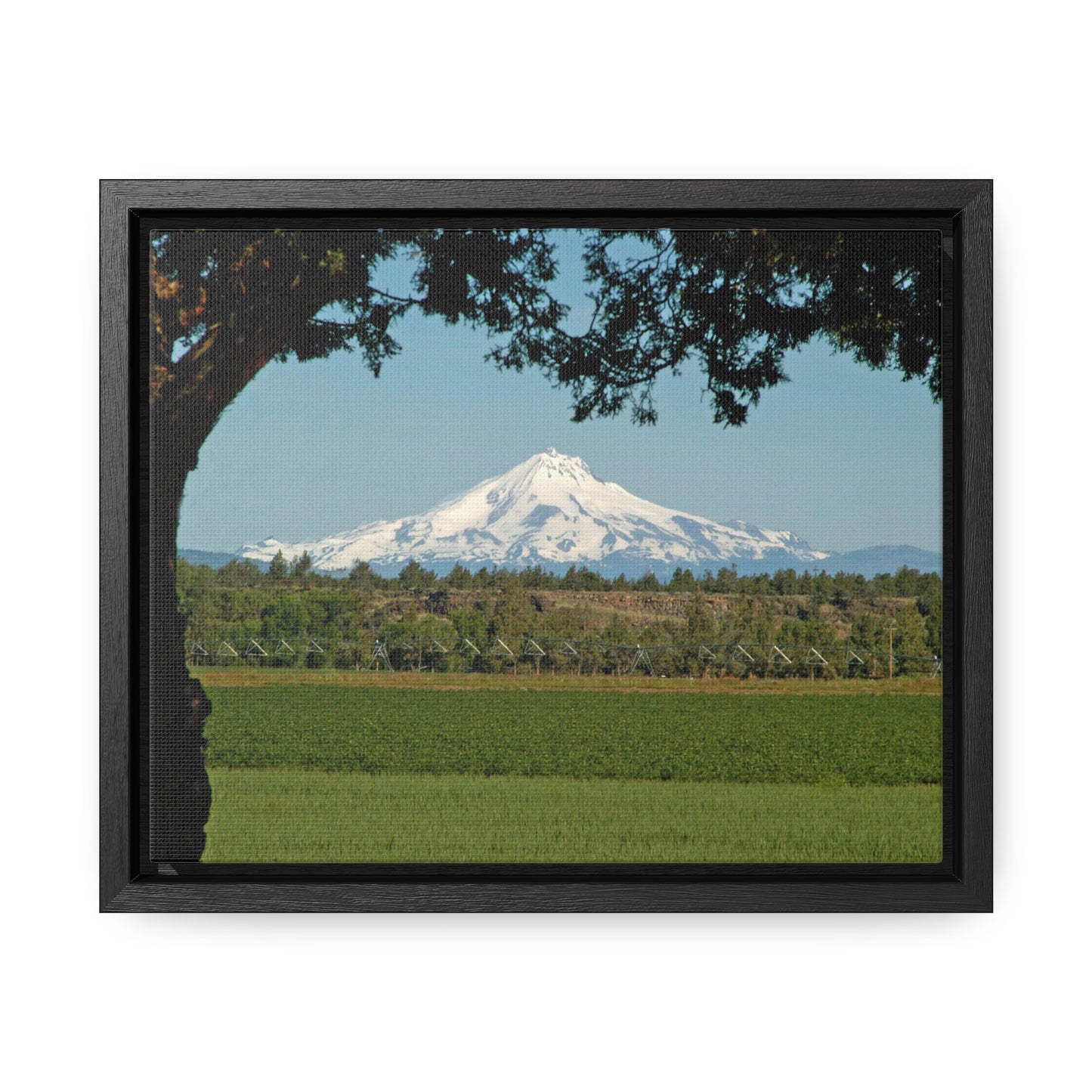 Juniper Framed Mountain Gallery Canvas Wraps Framed