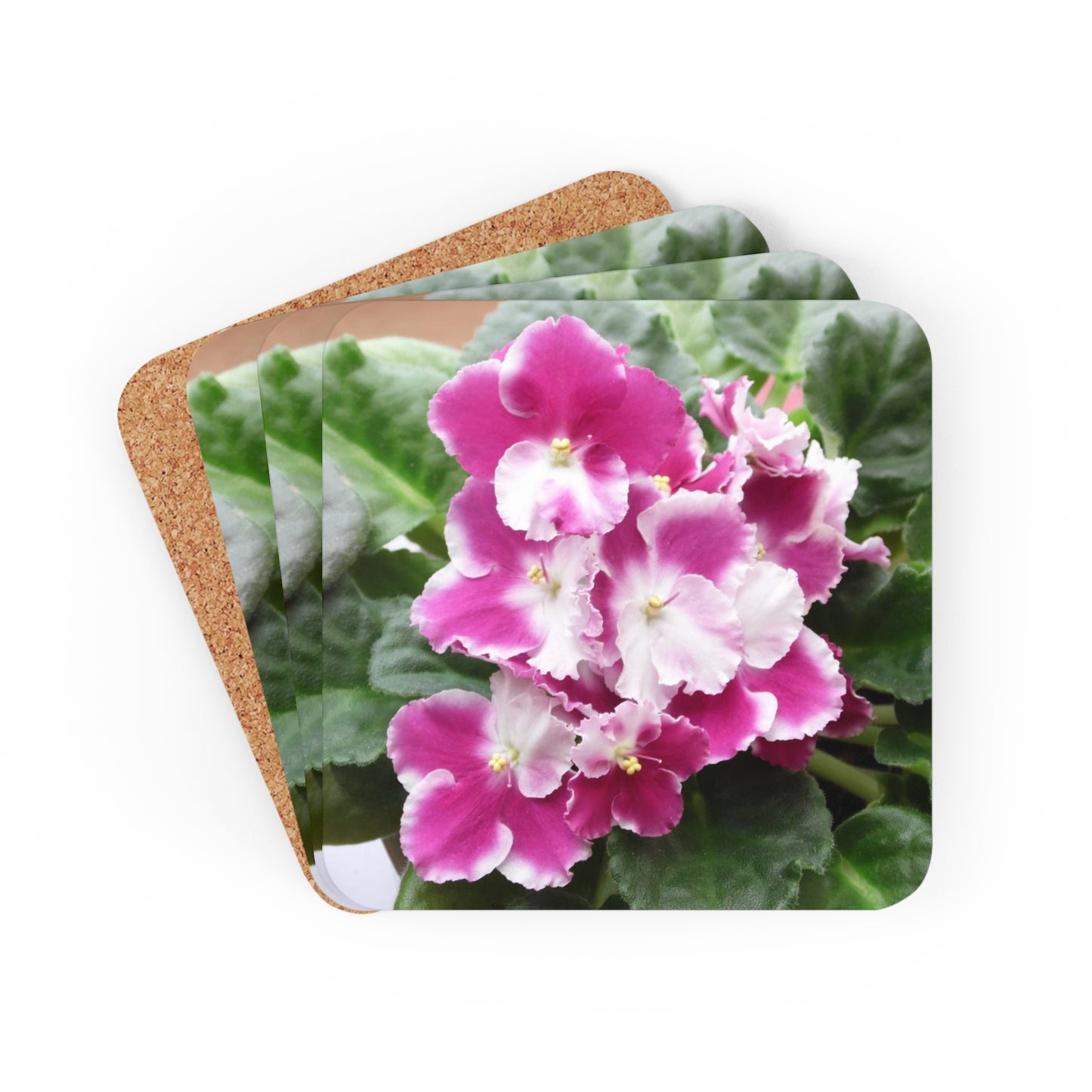 African Violet Corkwood Coaster Set