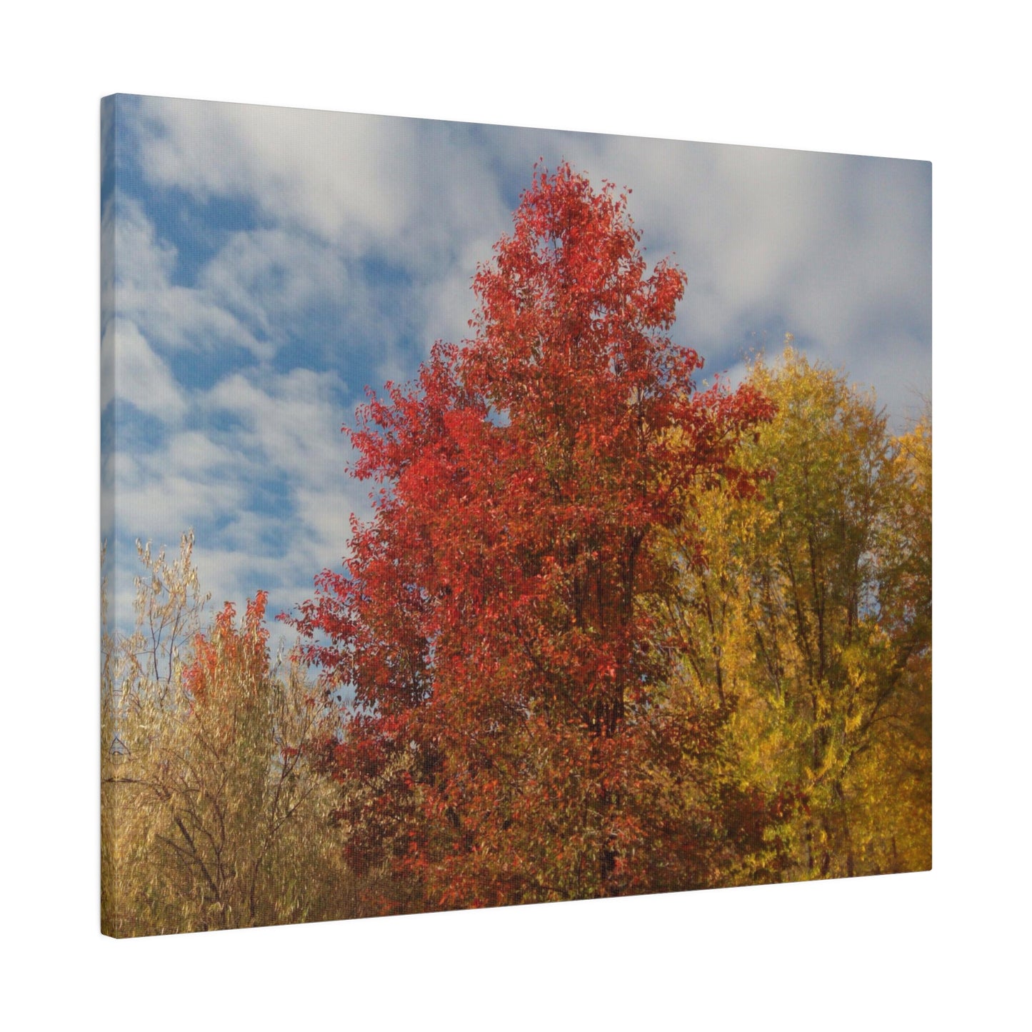 Autumn Sky Matte Canvas
