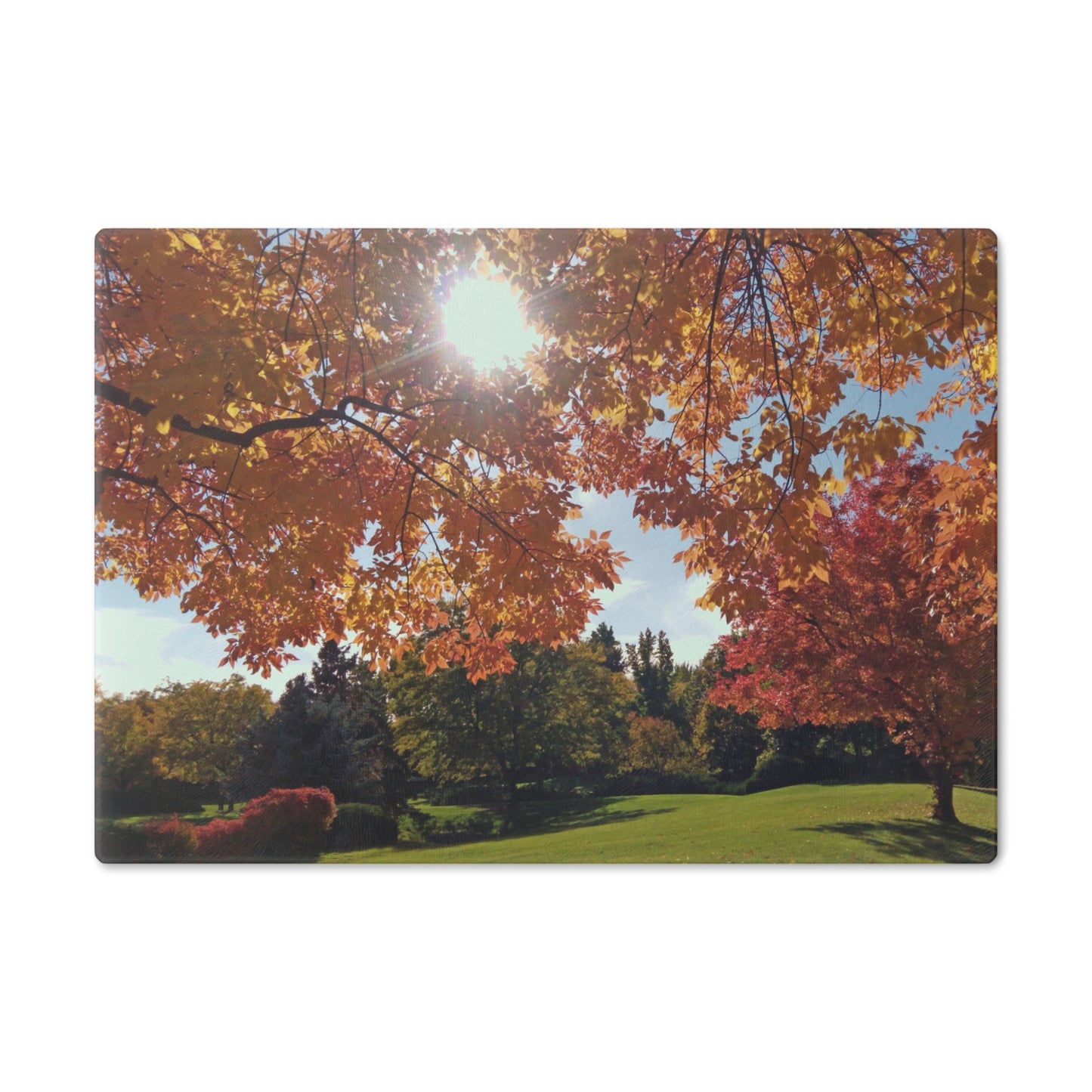 Autumn Light Cutting Board Dishwasher Safe