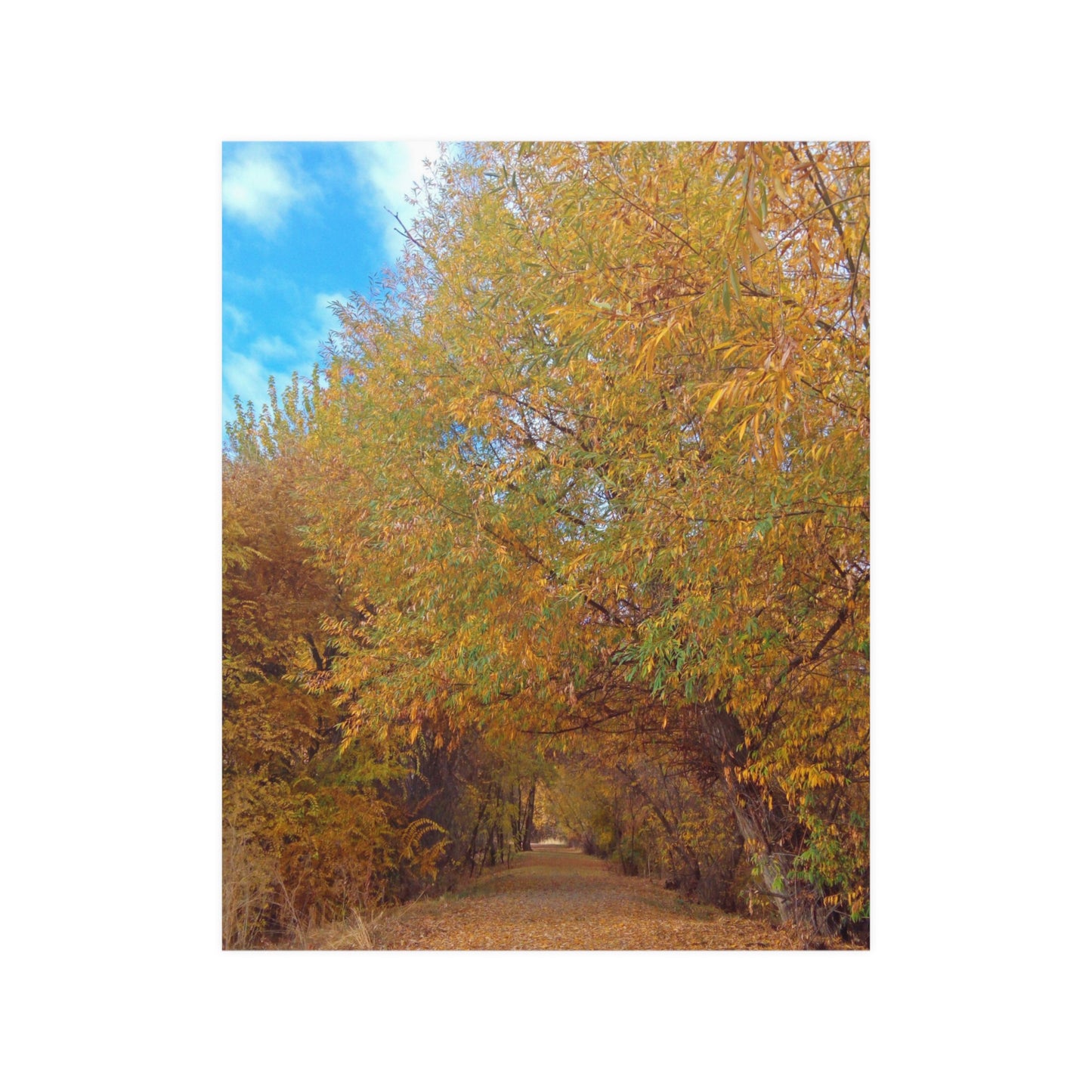 Autumn Path Satin Posters