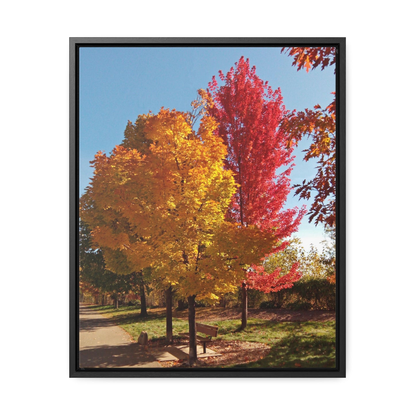 Autumn Bench Gallery Canvas Wraps Framed