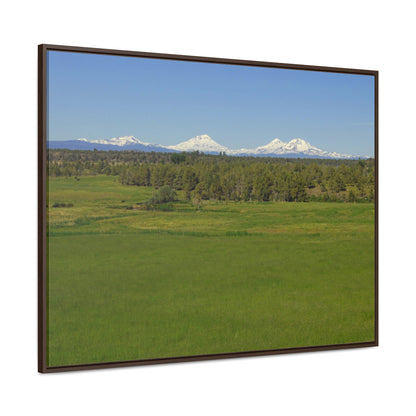 Mountain Meadow Gallery Canvas Wraps Framed