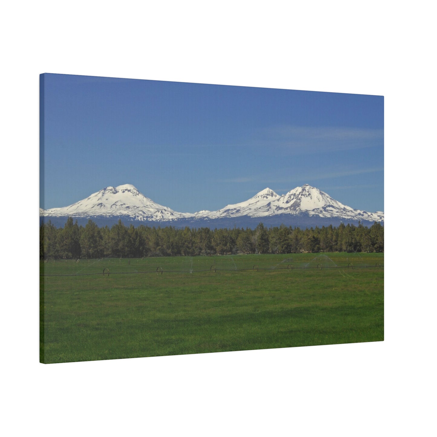 Mountain Field Matte Canvas