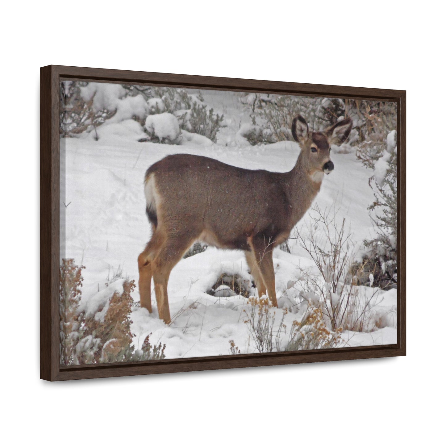 Snowy Deer Gallery Canvas Wraps Framed