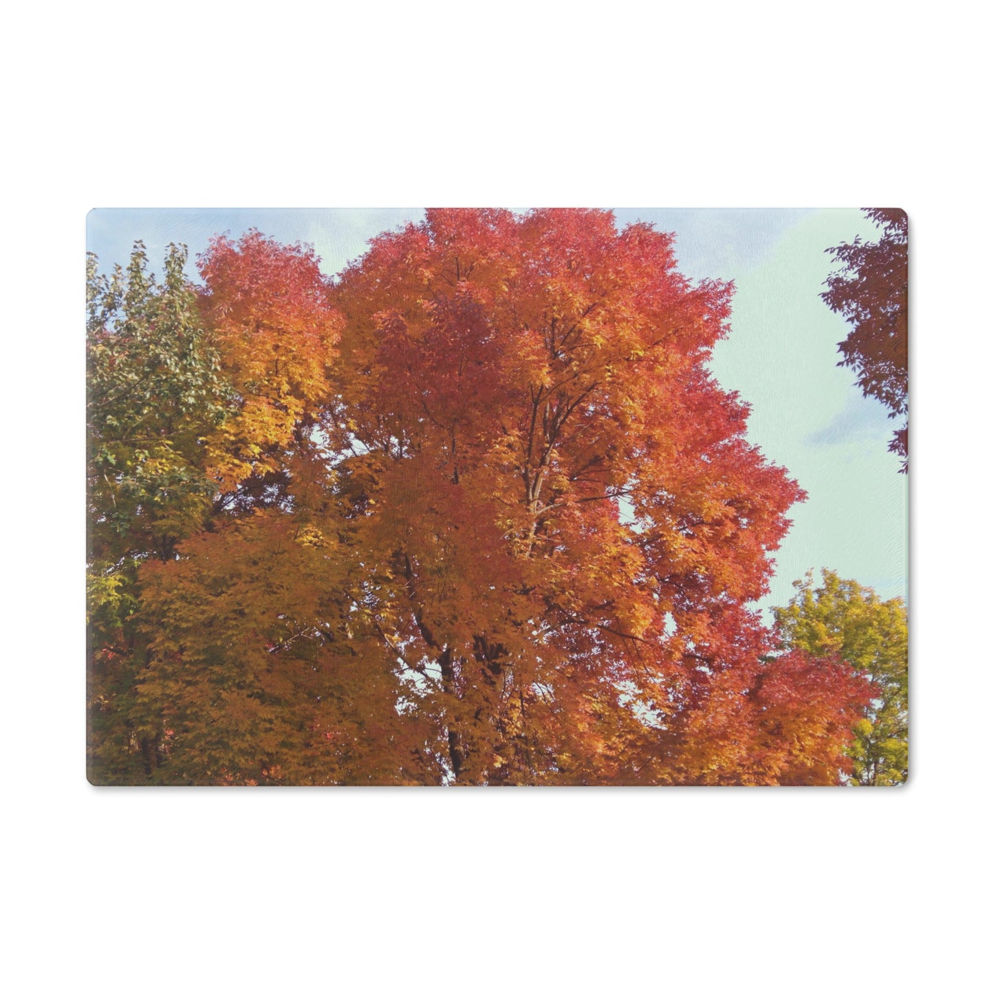 Autumn Radiance Cutting Board Dishwasher Safe