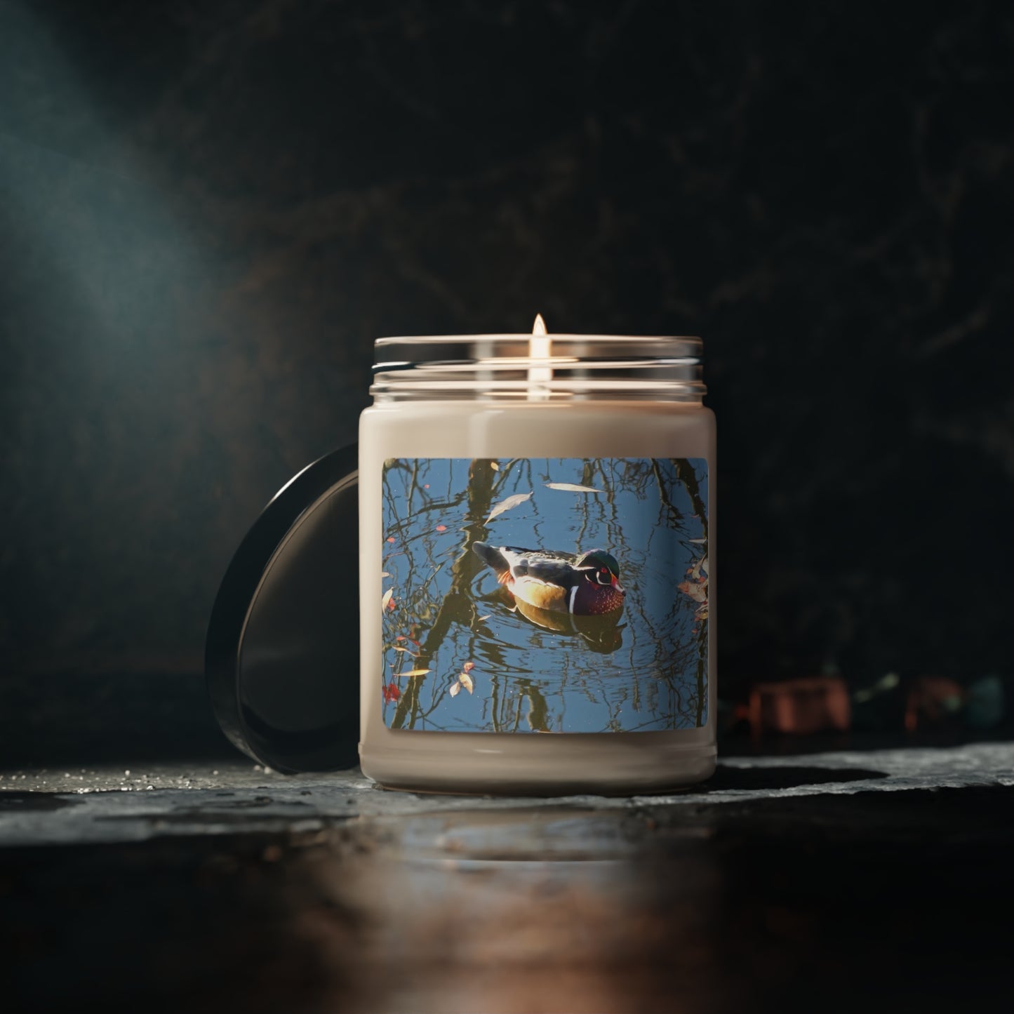 Reflections Wood Duck Scented Soy Candle, 9oz
