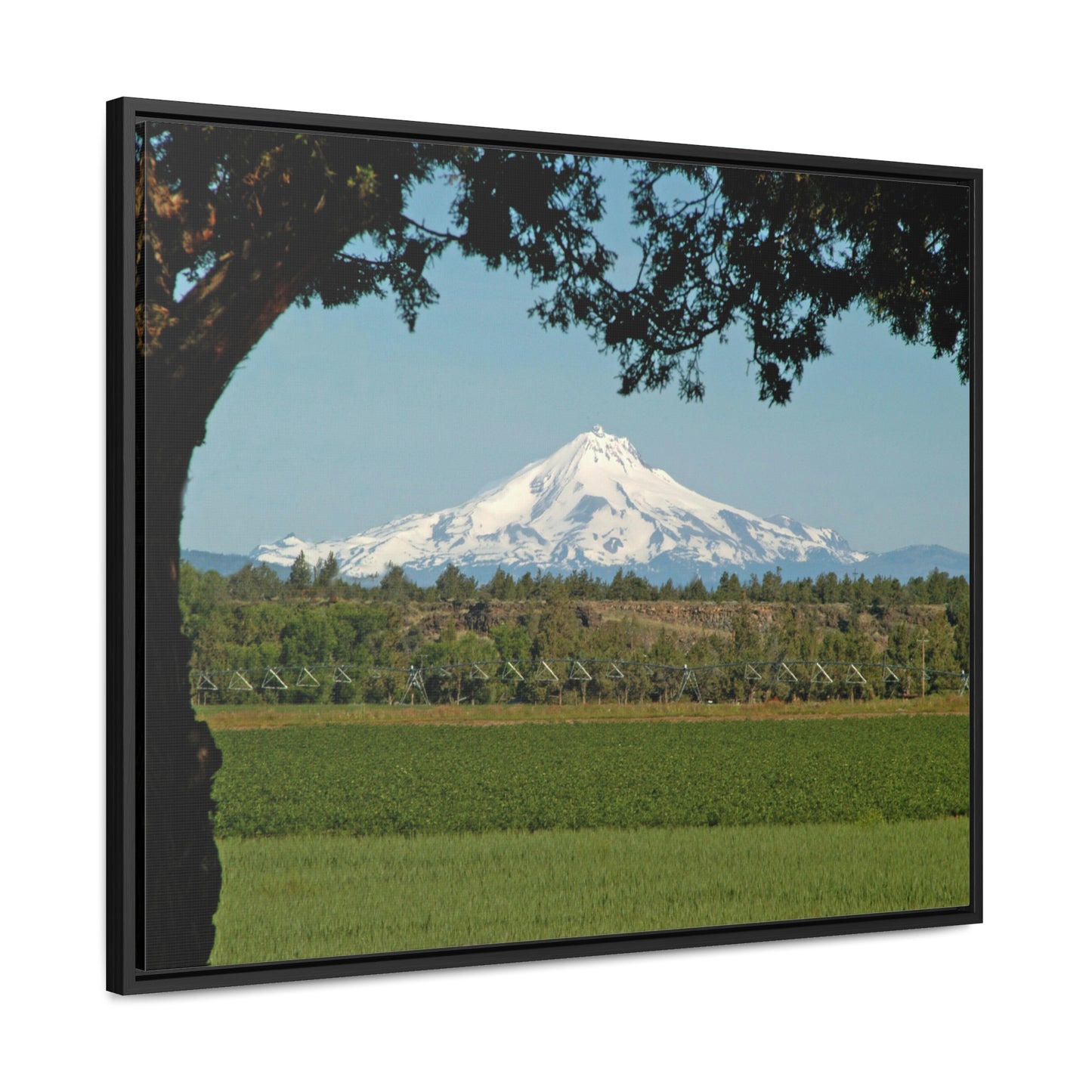 Juniper Framed Mountain Gallery Canvas Wraps Framed