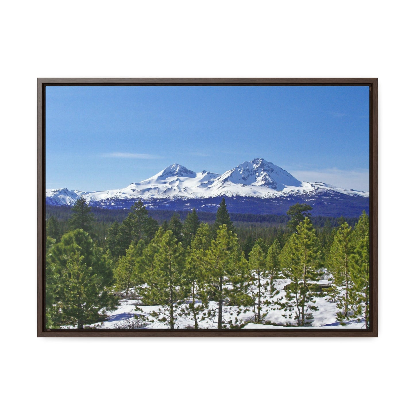 Winter Two Sisters Gallery Canvas Wraps Framed