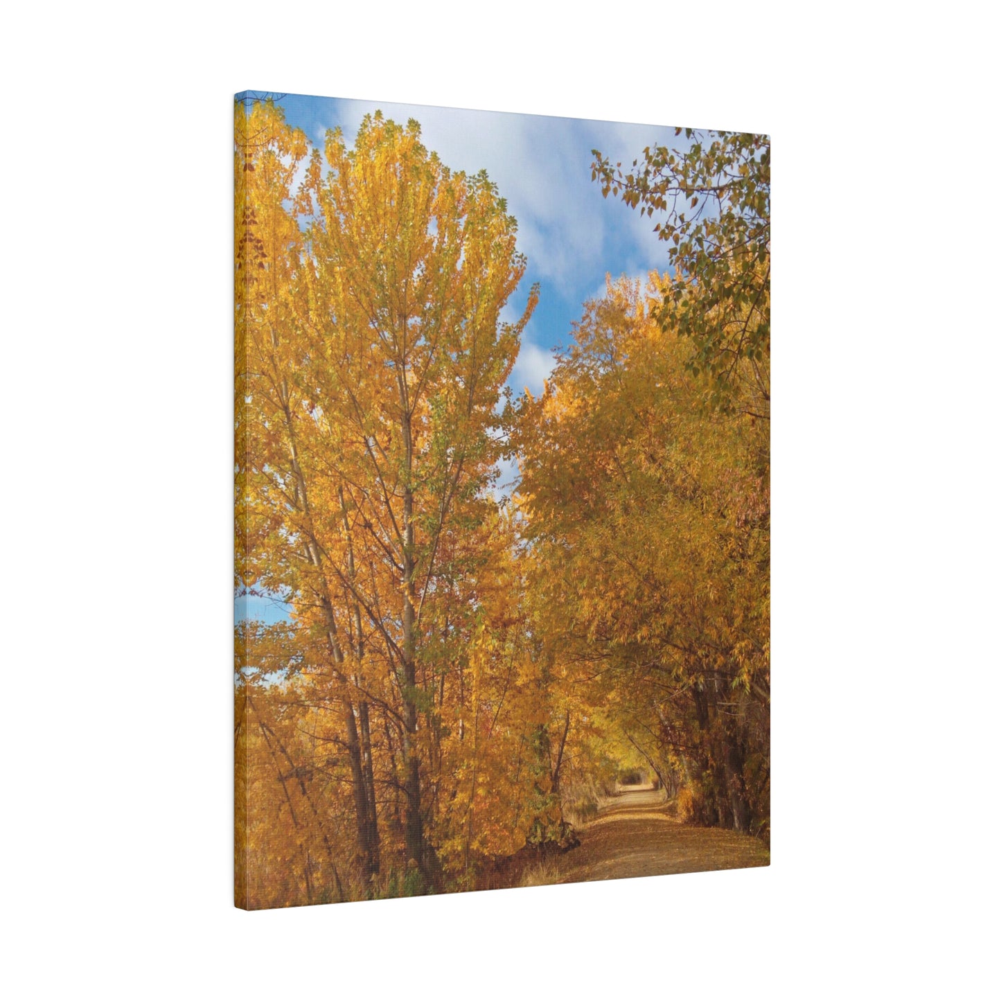 Autumn Trail Matte Canvas
