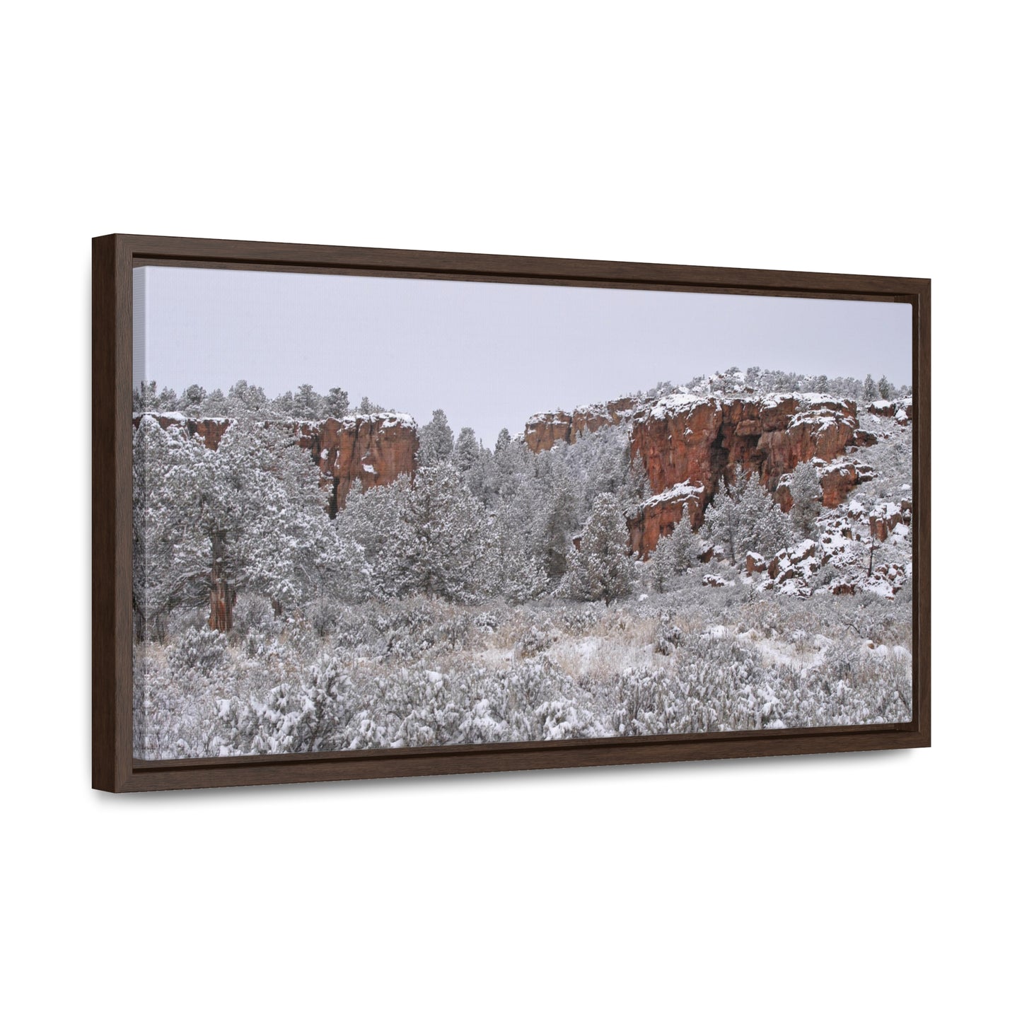 Winter Canyon Gallery Canvas Wraps Framed