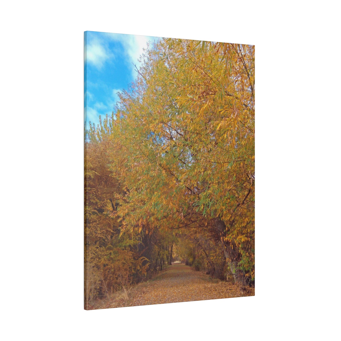 Autumn Path Matte Canvas