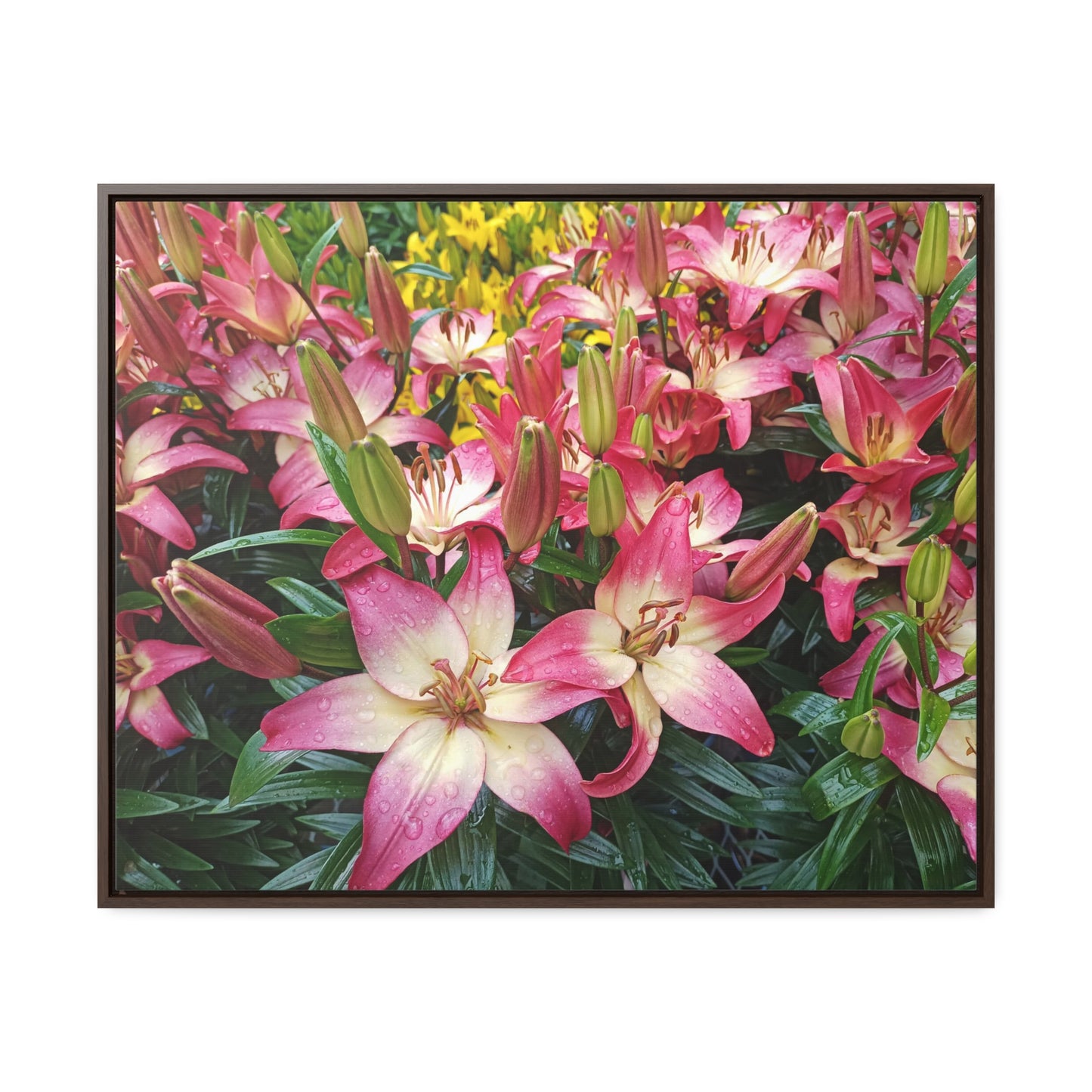 Lovely Lilies Gallery Canvas Wraps Framed