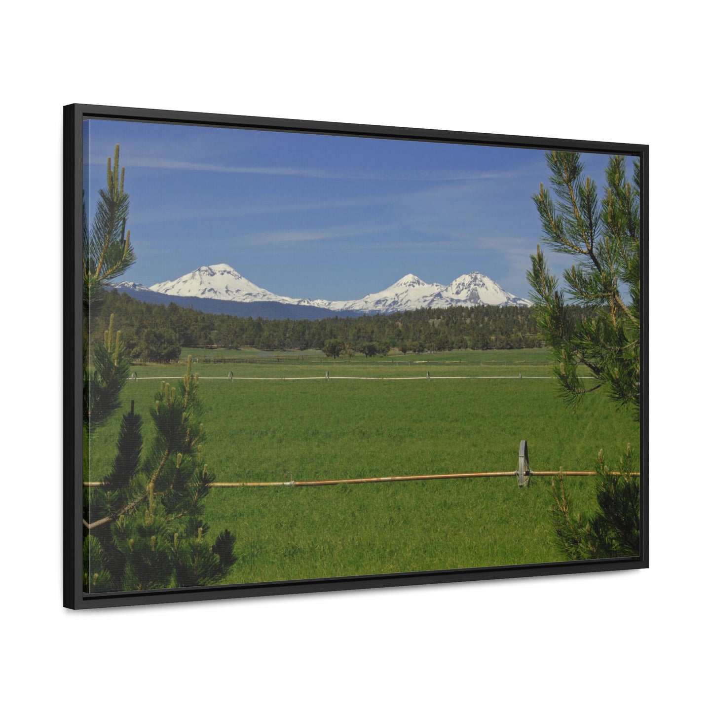 Mountain Pasture Gallery Canvas Wrap Framed