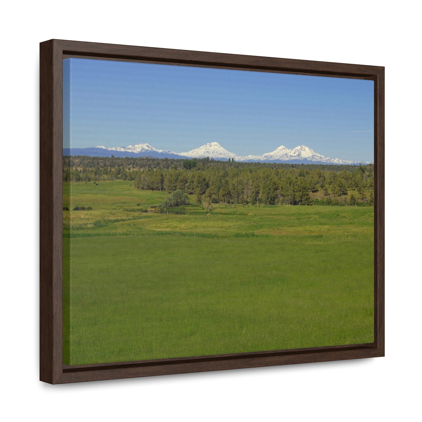 Mountain Meadow Gallery Canvas Wraps Framed