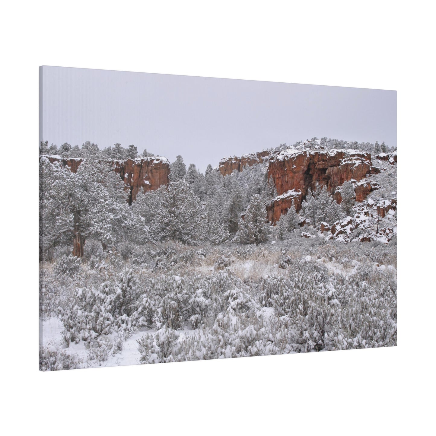 Winter Canyon Matte Canvas