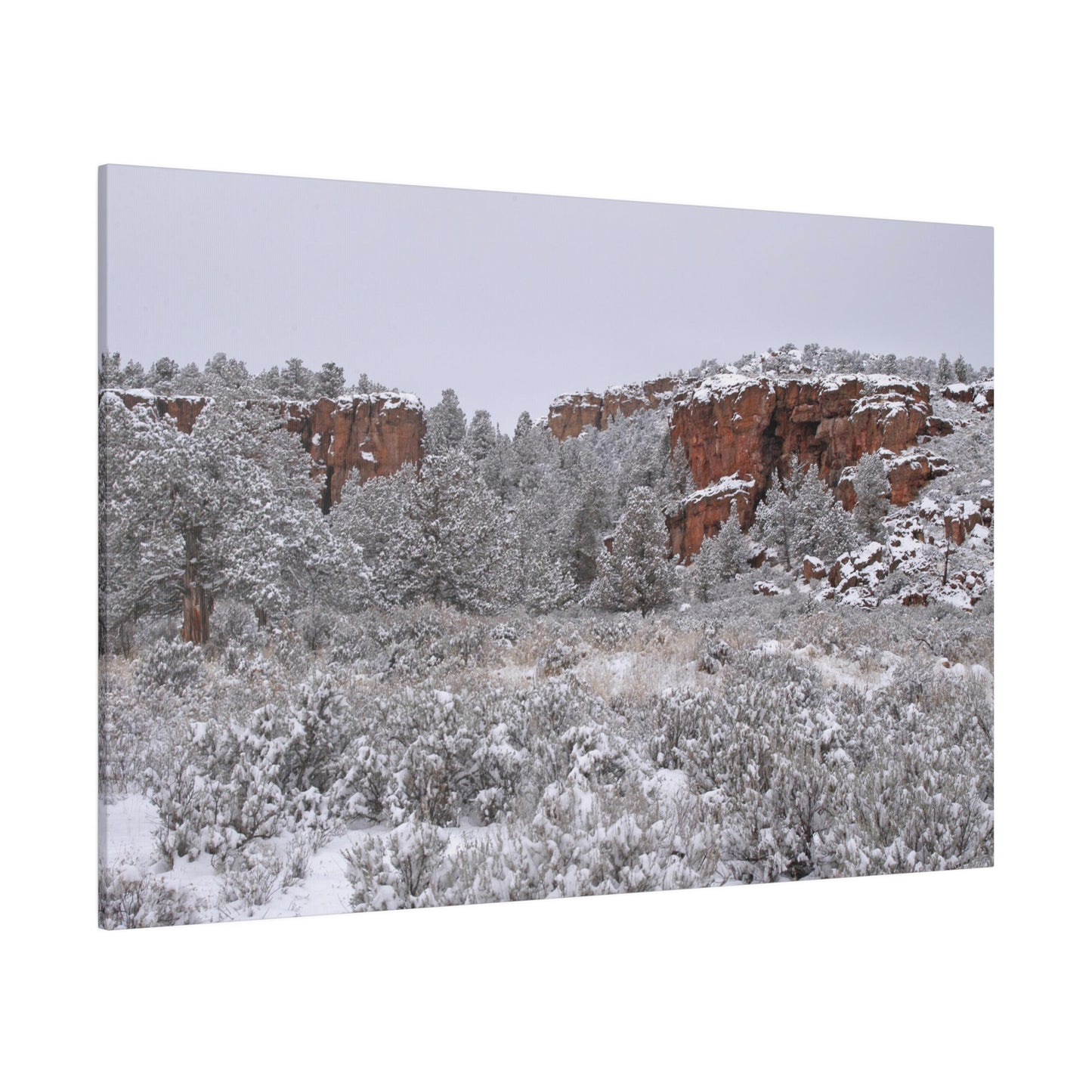 Winter Canyon Matte Canvas