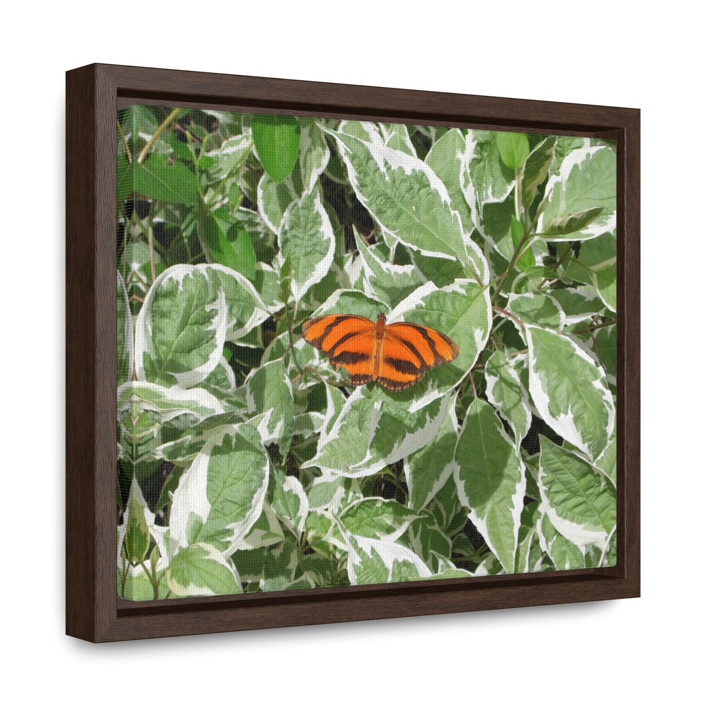 Leaves & Butterfly Gallery Canvas Wraps Framed