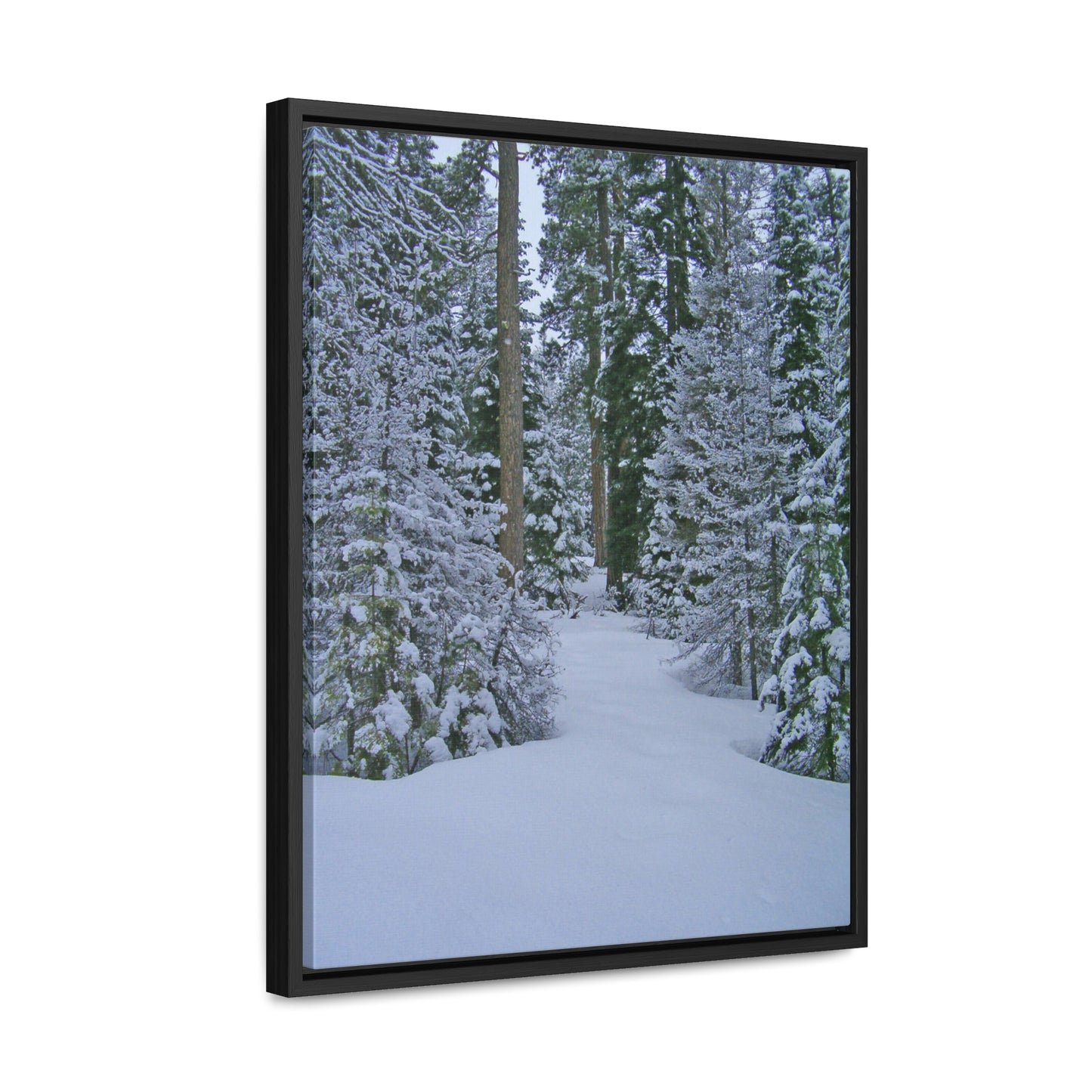 Snowy Woods Gallery Canvas Wraps Framed