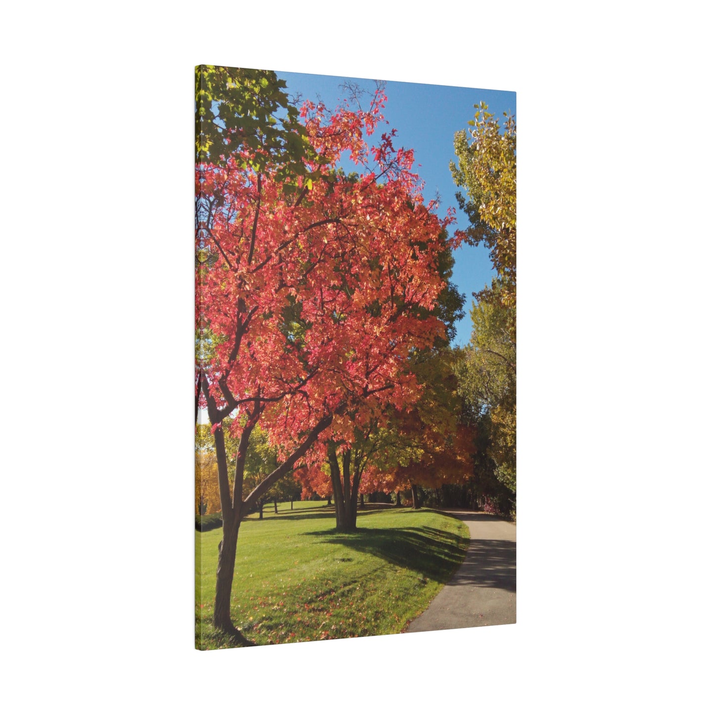 Autumn Glow Matte Canvas