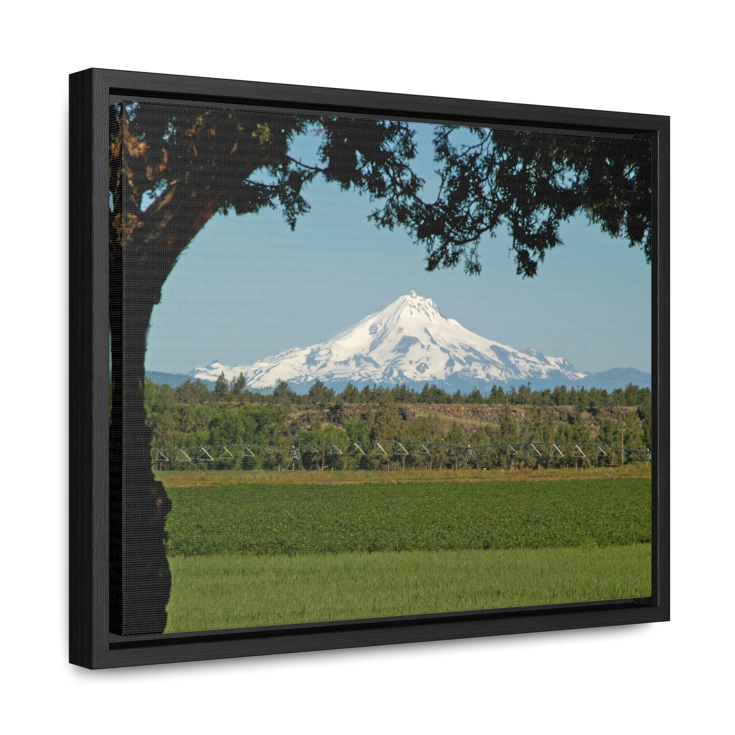 Juniper Framed Mountain Gallery Canvas Wraps Framed