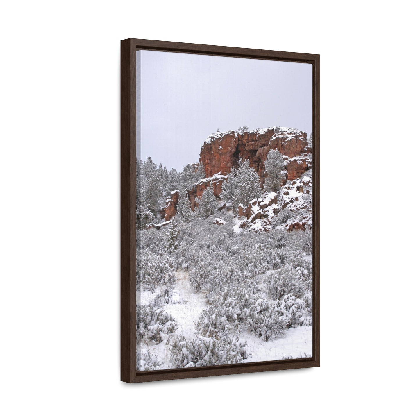 Winter Cliff Gallery Canvas Wraps Framed