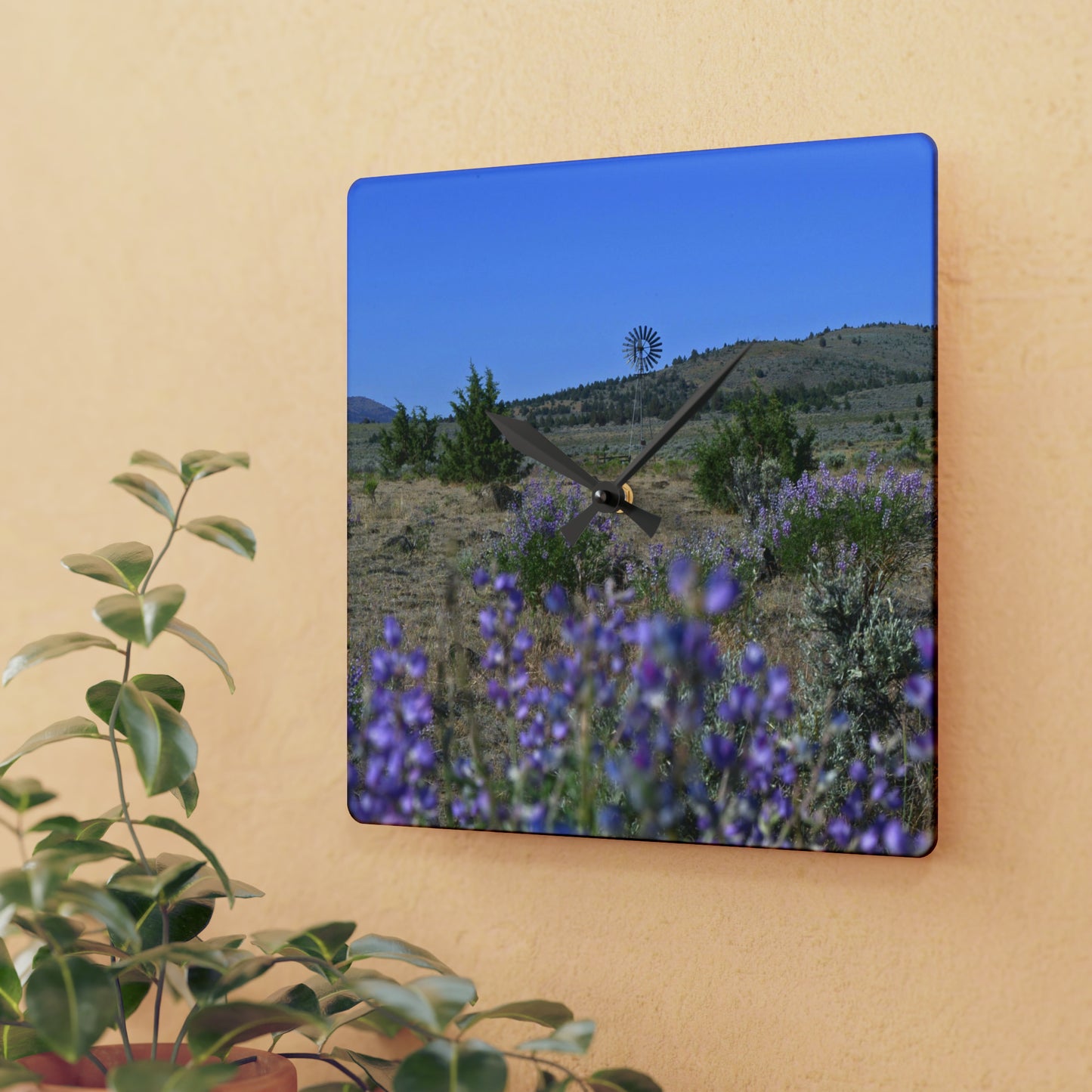 High Desert Lupine & Windmill Acrylic Wall Clock