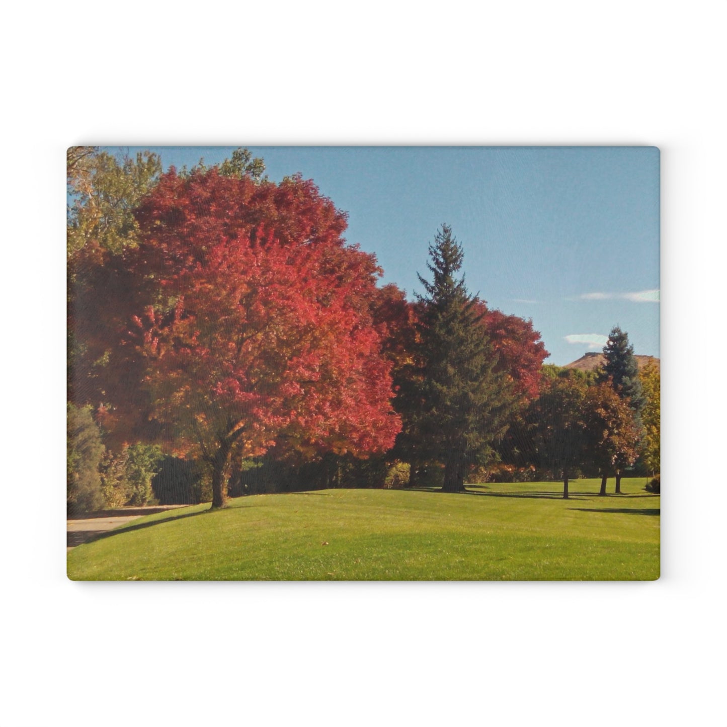 Autumn Lawn Glass Cutting Board Hand Wash