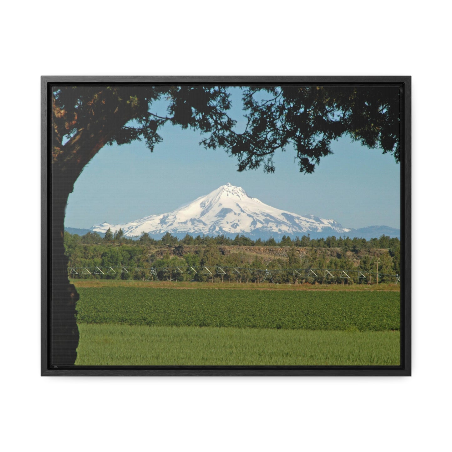 Juniper Framed Mountain Gallery Canvas Wraps Framed