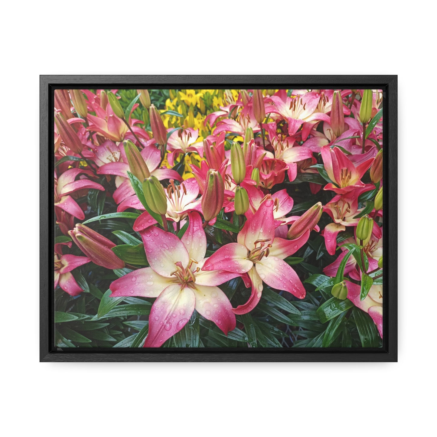 Lovely Lilies Gallery Canvas Wraps Framed