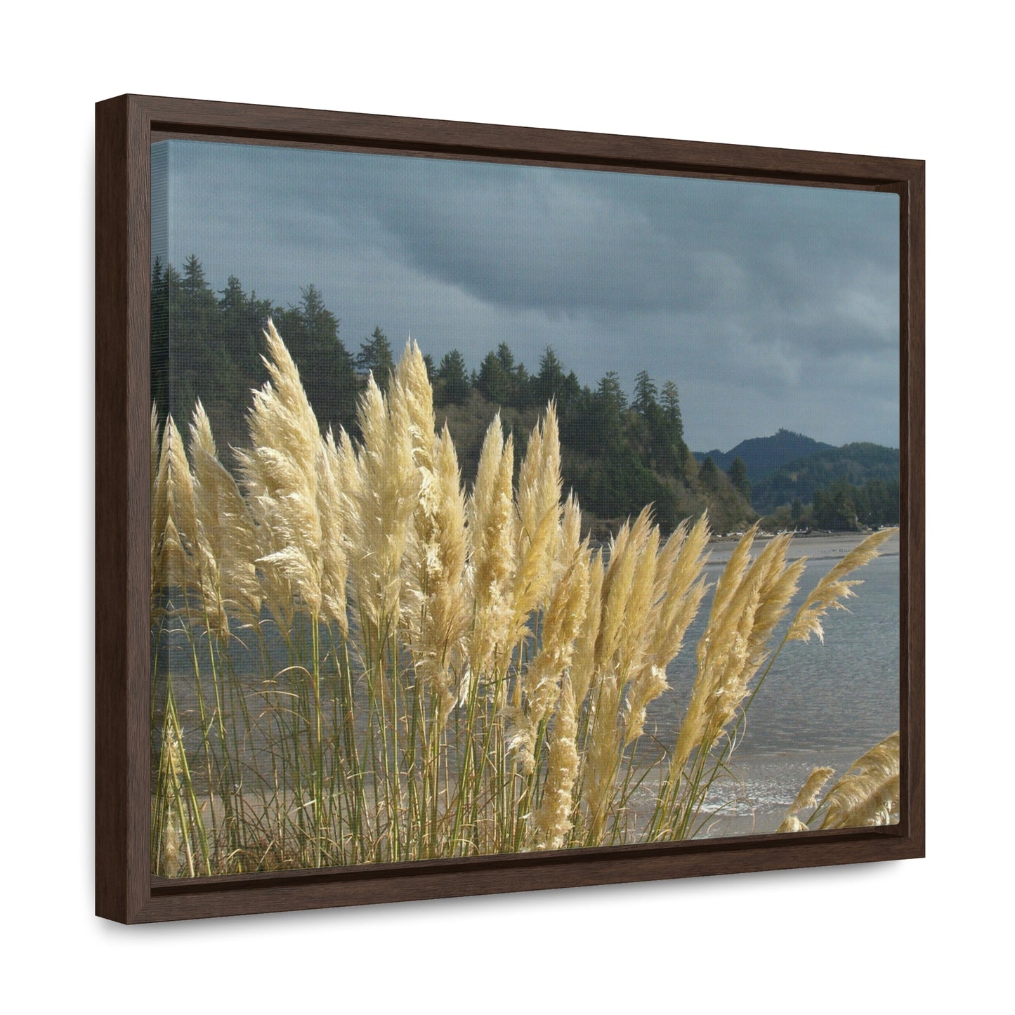 Golden Coastal Pampas Gallery Canvas Wraps Framed