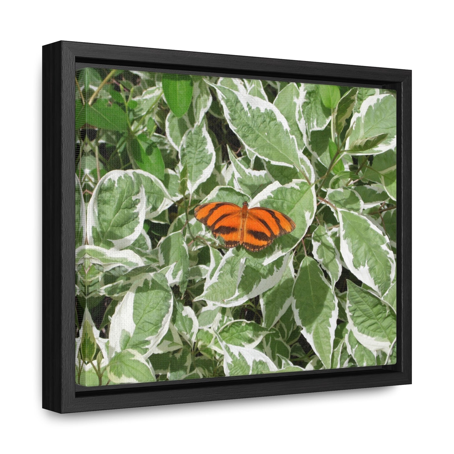 Leaves & Butterfly Gallery Canvas Wraps Framed