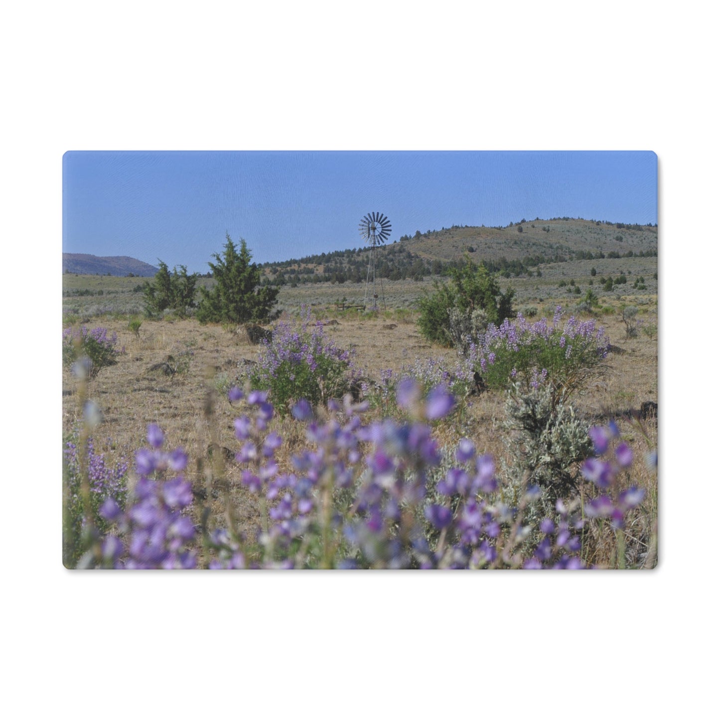 High Desert Lupine & Windmill Cutting Board Dishwasher Safe