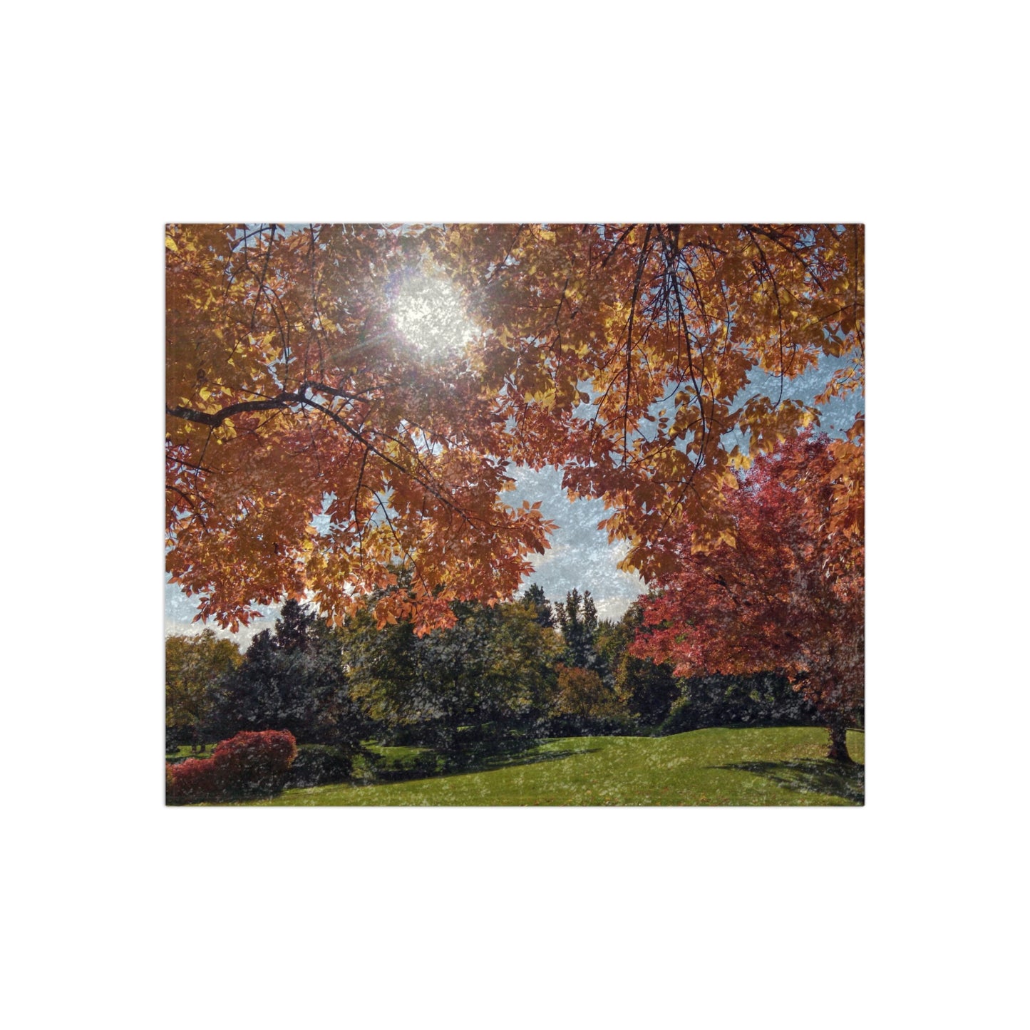 Autumn Light Shiny Crushed Velvet Blanket